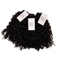 Burmese Curly Xtensions